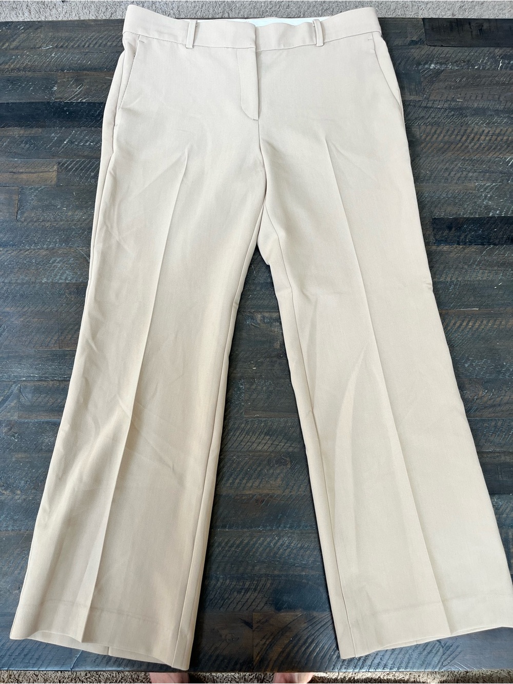 Ann Taylor The Jayne Trouser Pants Beige Tan Suiting Size 10P Petite